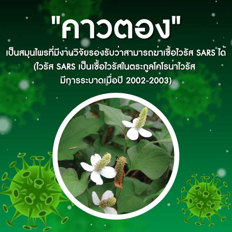 arshithong-glod